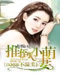 BOSS不温柔：推倒小萌妻