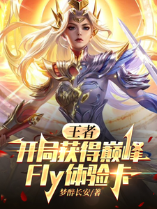 《王者：开局获得巅峰Fly体验卡》